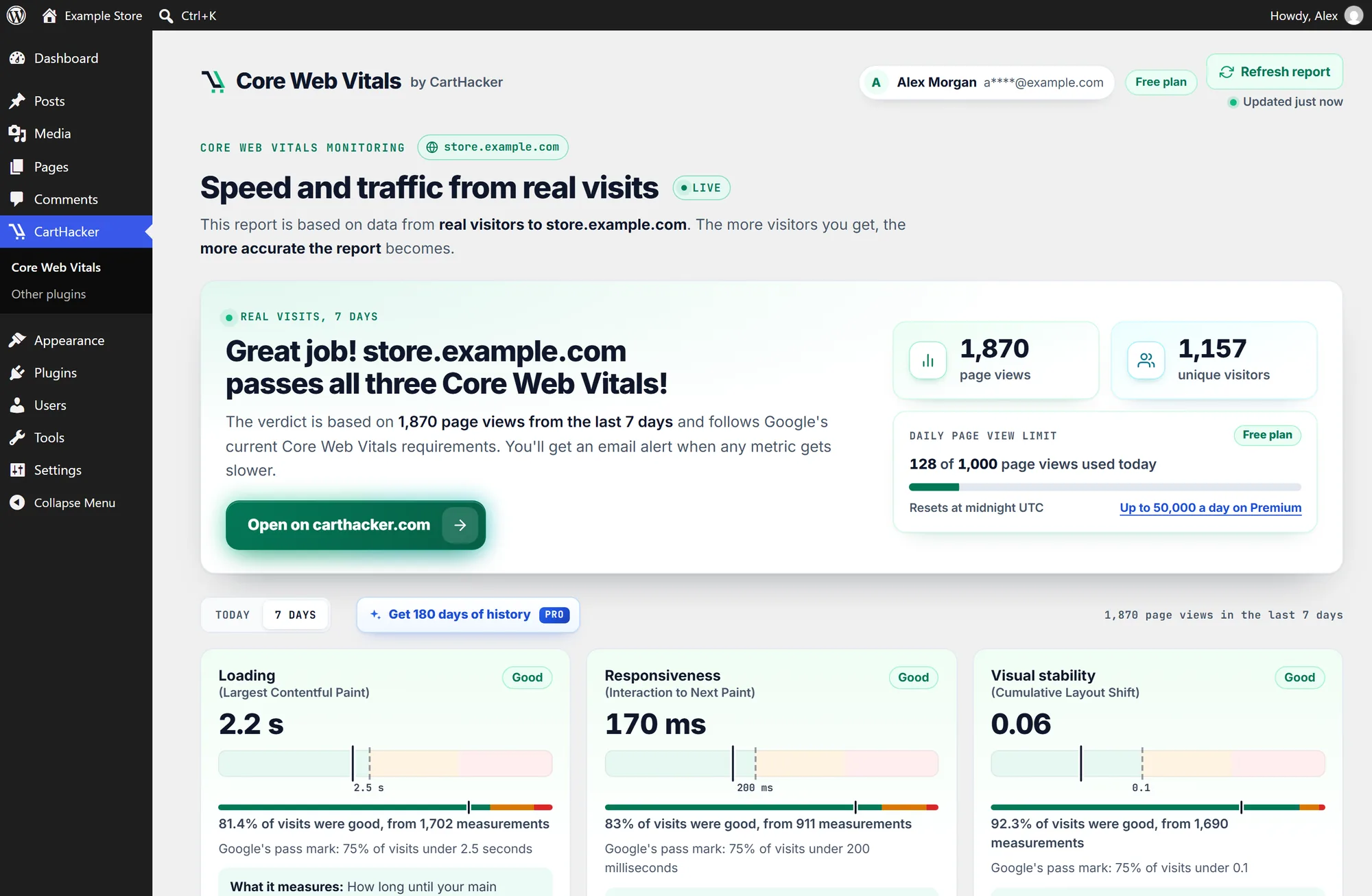 The Core Web Vitals report inside WordPress admin for an example store: store.example.com passes all three Core Web Vitals, with page views, visitors and the daily page view limit